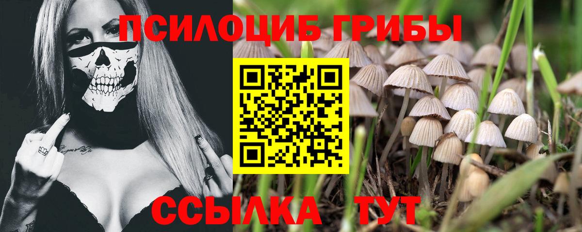 Карталы  Псилоцибиновые грибы ЛСД  Вход с VPN  Галлюциногенные грибы Psilocybe 